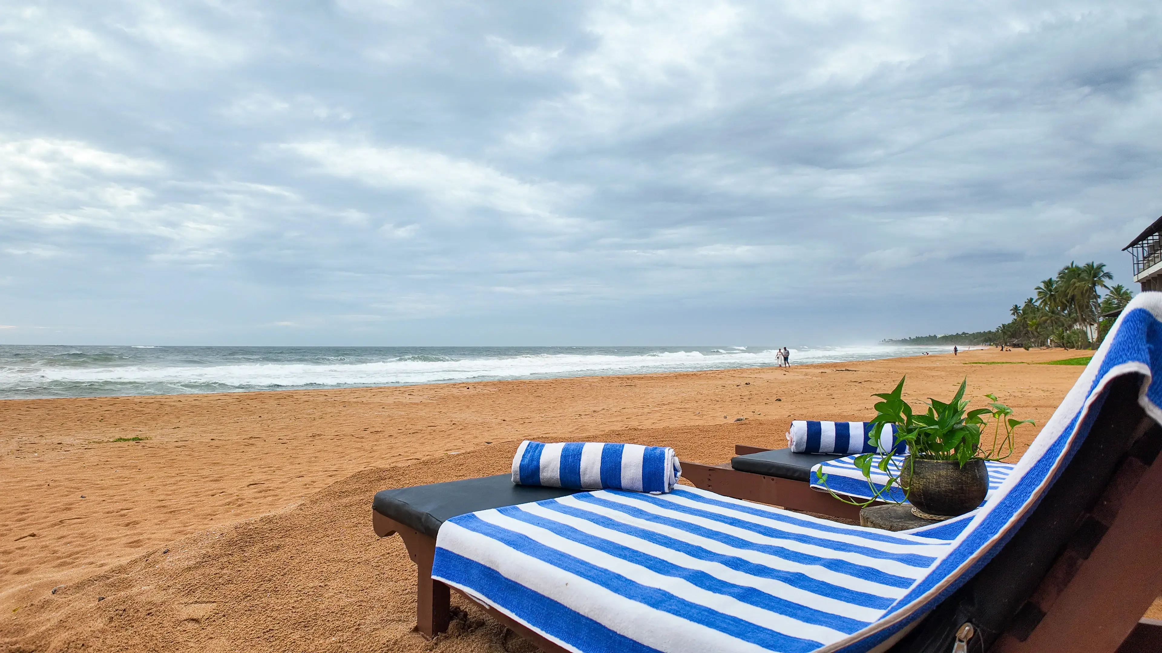 Wildlife photography in natural habitat